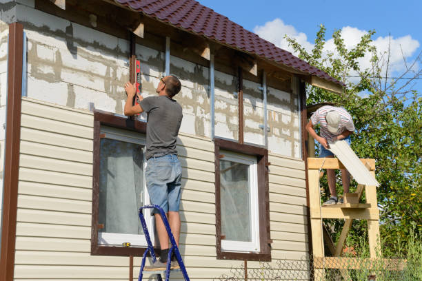 Best Siding Replacement  in Wellington, CO