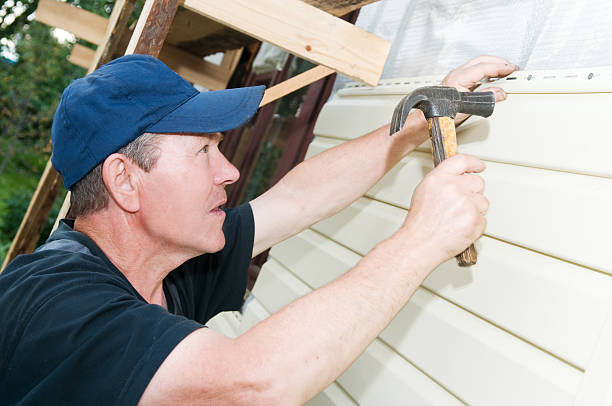 Best Storm Damage Siding Repair  in Wellington, CO