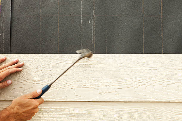Best Steel Siding Installation  in Wellington, CO